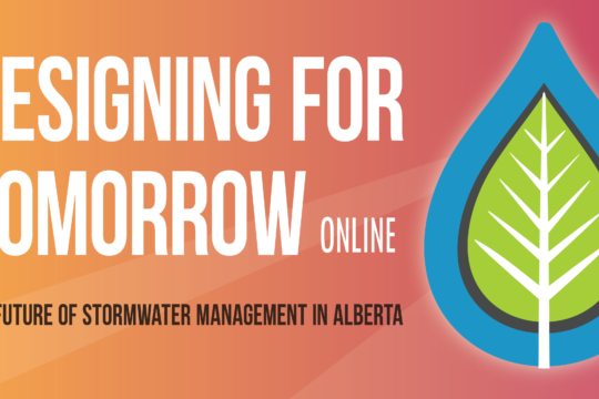 LID and The City of Calgary Part 1: What The City Heard, The Road Ahead, Have Your Say